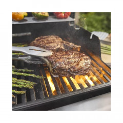 Weber EP-425 Gasgrill