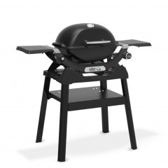 WEBER Q 1200 N Gasgrill, Schwarz (2,94 kW)