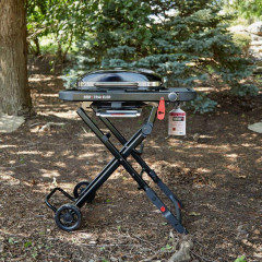 Weber Traveler Compact Gasgrill
