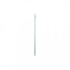 Apple 11