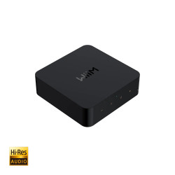WiiM Pro High-Res-Audio Streamer mit Chromecast WiiM Pro High-Res-Audio Streamer mit Chromecast