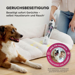 Shark HX100EUT StainForce kabelloser Waschsauger zur Fleckenentfernung