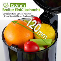 VENTRAY Max120 Elektrischer Entsafter 250 Watt, Schwarz