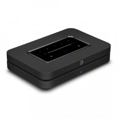 Bluesound Node