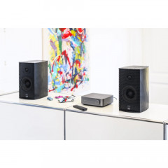 WiiM AMP Verstärker