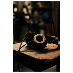 Grado RS2x