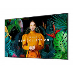 SAMSUNG QM43C LED TV (Flat, 43 Zoll / 108 cm, UHD 4K)