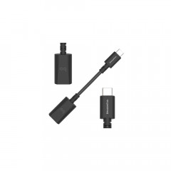 audioquest DragonTail Adapter A auf C