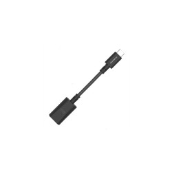 audioquest DragonTail Adapter A auf C