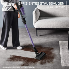 ROWENTA RH5A32 X-Pert 5.80 Stielsauger, Akkubetrieb, 150 Watt