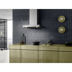 MIELE PUR 68 W, Dunstabzugshaube (598 mm breit, 500 mm tief)