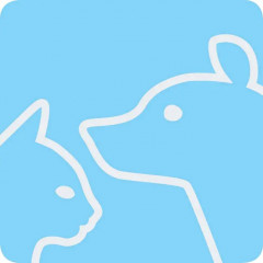 Thomas Perfect Air Animal Pure Staubsauger Beutellos, Zyklon-Technik