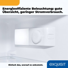 exquisit Kühl-/Gefrierkombination »KGC233-60-HE-040D« 142,2 cm hoch 50 cm breit Energieeffizienzklasse D, 173 Liter Nutzinhalt, 4 Sterne Gefrieren