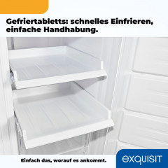 exquisit Gefrierschrank NoFrost »GS231-NF-H-040C weiss« 143 cm hoch 54 cm breit 4*-Gefrierschrank No Frost mit LED-Anzeige & praktischem Griff