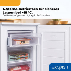 EXQUISIT GS581-040C weiss Gefrierschrank (C, 855 mm hoch)