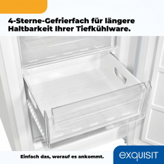 exquisit Kühl-/Gefrierkombination »KGC320-95-E-WS-040C« 185,8 cm hoch 60 cm breit
