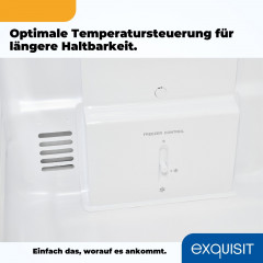 exquisit Kühl-/Gefrierkombination »KGC265-70-NF-040C« 180,5 cm hoch 54,5 cm breit Energieeffizienzklasse C, 253 Liter Nutzinhalt, Total NoFrost