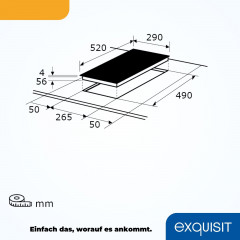 EXQUISIT EKI300-B-380 Induktionskochfeld (290 mm breit, 2 Kochfelder)