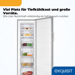 EXQUISIT GS5271-NF-H-040E Gefrierschrank (E, 1700 mm hoch)