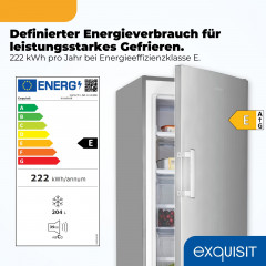 EXQUISIT GS5271-NF-H-040E Gefrierschrank (E, 1700 mm hoch)