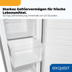 EXQUISIT GS5271-NF-H-040E Gefrierschrank (E, 1700 mm hoch)