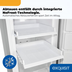 EXQUISIT GS5271-NF-H-040E Gefrierschrank (E, 1700 mm hoch)