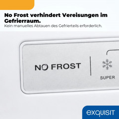 EXQUISIT GS5271-NF-H-040C inoxlook Gefrierschrank (C, 1700 mm hoch)