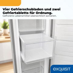 EXQUISIT GS5271-NF-H-040C inoxlook Gefrierschrank (C, 1700 mm hoch)