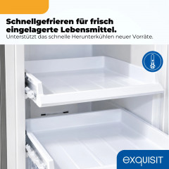 EXQUISIT GS5271-NF-H-040C inoxlook Gefrierschrank (C, 1700 mm hoch)