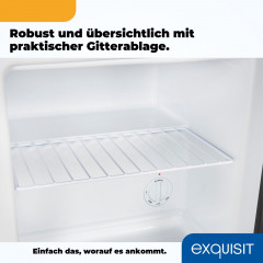 exquisit Gefrierschrank »GB40-150E schwarz« 51 cm hoch 47 cm breit Praktischer Mini-Gefrierschrank 4*-Gefrierfach, flexibel & einfach