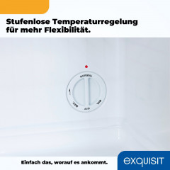 exquisit Gefrierschrank »GB40-150E schwarz« 51 cm hoch 47 cm breit Praktischer Mini-Gefrierschrank 4*-Gefrierfach, flexibel & einfach
