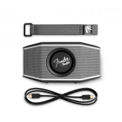 TEUFEL Fender x Teufel ROCKSTER GO 2 Lautsprecher, Steel Black, Wasserfest