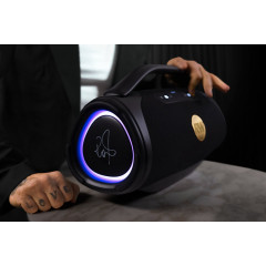 PEAQ ICONIC Vibe 4 - PPA 700-RW Bluetooth Lautsprecher, Schwarz mit goldenen Features, Wasserfest