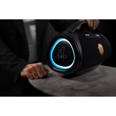 PEAQ ICONIC Vibe 4 - PPA 700-RW Bluetooth Lautsprecher, Schwarz mit goldenen Features, Wasserfest