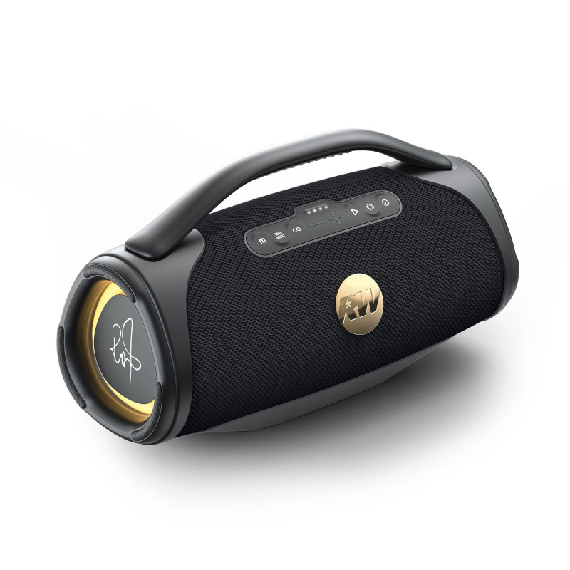 PEAQ ICONIC Vibe 4 - PPA 700-RW Bluetooth Lautsprecher, Schwarz mit goldenen Features, Wasserfest