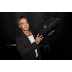 PEAQ ICONIC Vibe 4 - PPA 700-RW Bluetooth Lautsprecher, Schwarz mit goldenen Features, Wasserfest