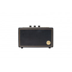 PEAQ ICONIC Vibe 3 | PPA 550-RW Lautsprecher, Schwarz mit goldenen Elementen