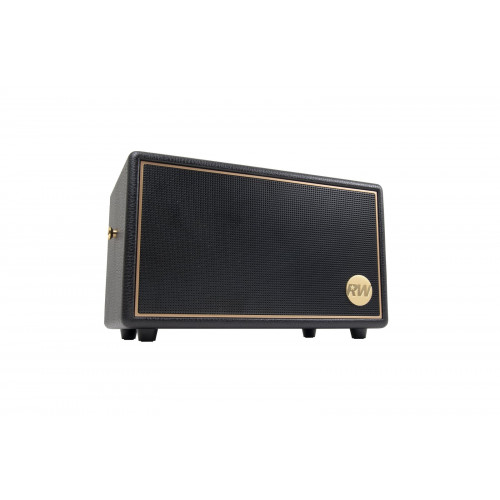 PEAQ ICONIC Vibe 3 | PPA 550-RW Lautsprecher, Schwarz mit goldenen Elementen