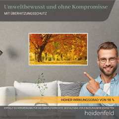 HEIDENFELD HF-HP105 Strand1 | Infrarotheizung (1000 Watt, Raumgröße: 25 m²)
