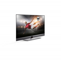 Metz Aurus silverline 48FA65 (OLED-TV)