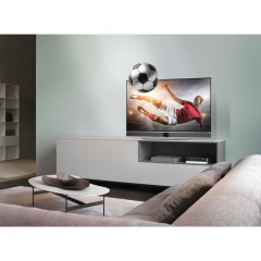 Metz Aurus silverline 48FA65 (OLED-TV)