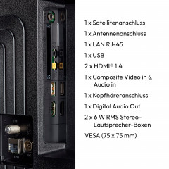MEDION MD 832100 Fernseher (Flat, 32 Zoll / 80 cm, Full-HD, SMART TV)