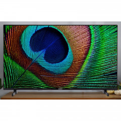 MEDION MD 843100 Fernseher (Flat, 43 Zoll / 108 cm, Full-HD, SMART TV)