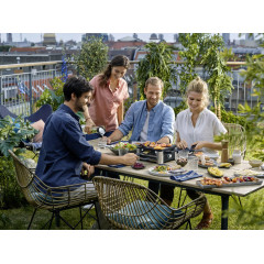 WMF LONO Raclette Schwarz, Silber