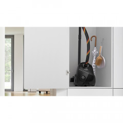 Bosch BGDS2CHAMP Bodenstaubsauger