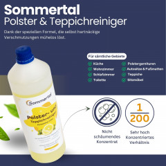 ALBATROS HYDRO 7500 inkl. 1l Shampoo Nass- und Trockensauger, Blau