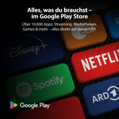 DYON nexGo 32H LED Smart TV (Flat, 32 Zoll / 80 cm, HD-ready, SMART TV)