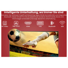 Reflexion LDDX32iBT_B LCD-TV 80cm 32 Zoll EEK E (A - G) DVB-T2, DVB-C, DVB-S2, Full HD, Smart TV, WLAN, DVD-Player, CI+ Schwarz