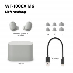Sony WF-1000XM6 In-Ear Kopfhörer