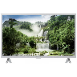 Panasonic TX-24LSW504S LCD-TV 60 cm 24 Zoll EEK F (A - G) Smart TV, WLAN, CI+, HD ready Silber